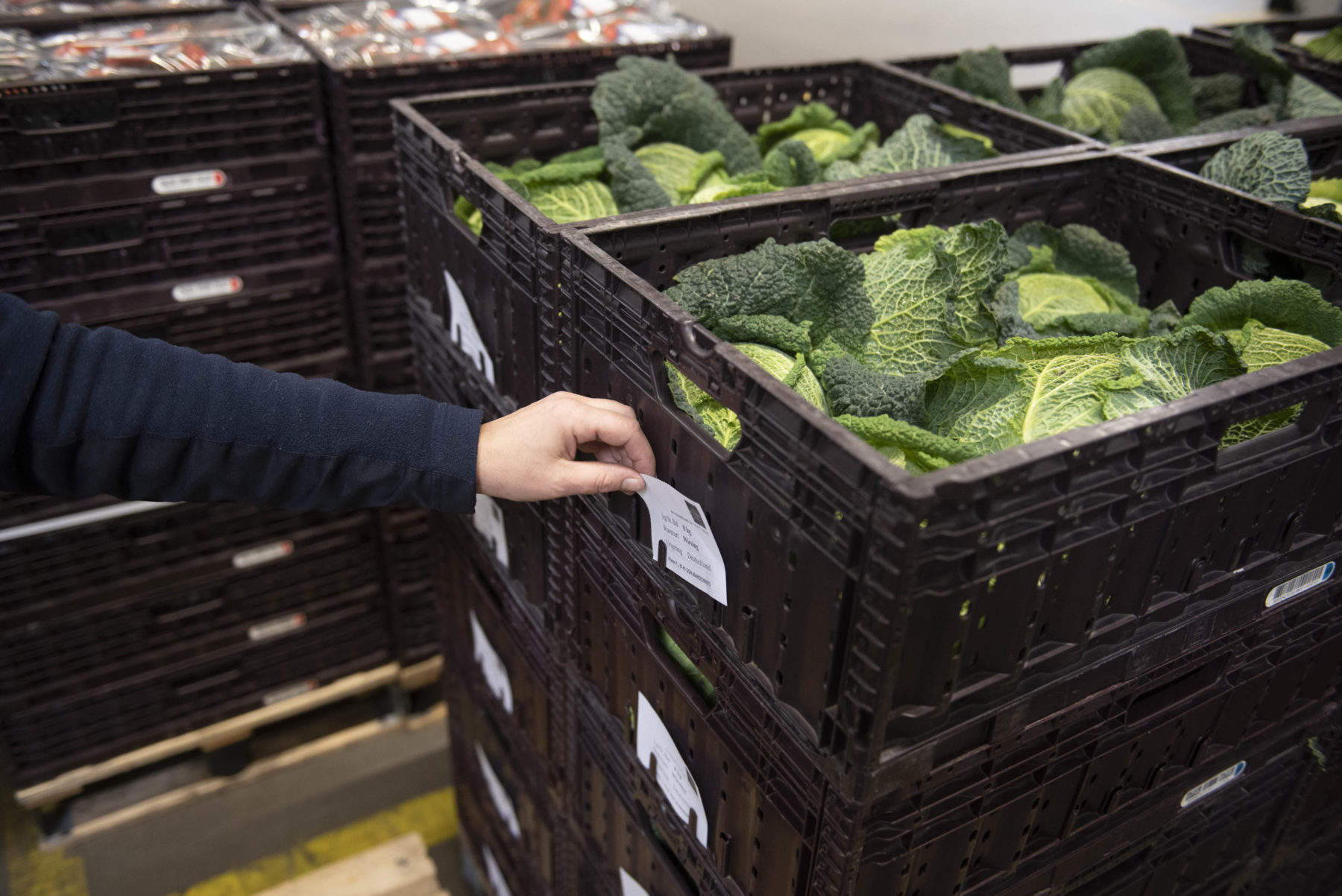 Obst- und Gemüsesteigen im Einsatz bei ALDI SÜD