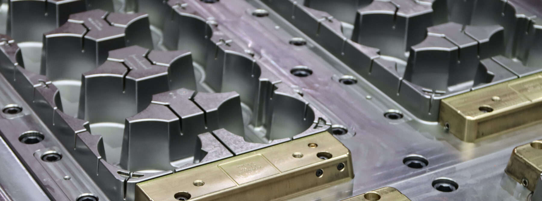 Spritzguss-Werkzeug für den EPT 777 Mehrweg-Pflanzentray