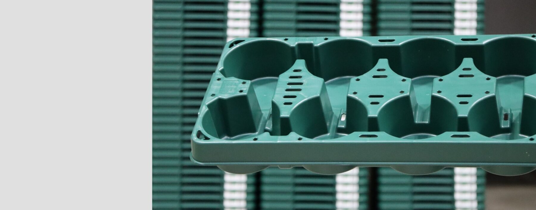 Mehrweg-Pflanzentrays EPT von WALTHER Faltsysteme
